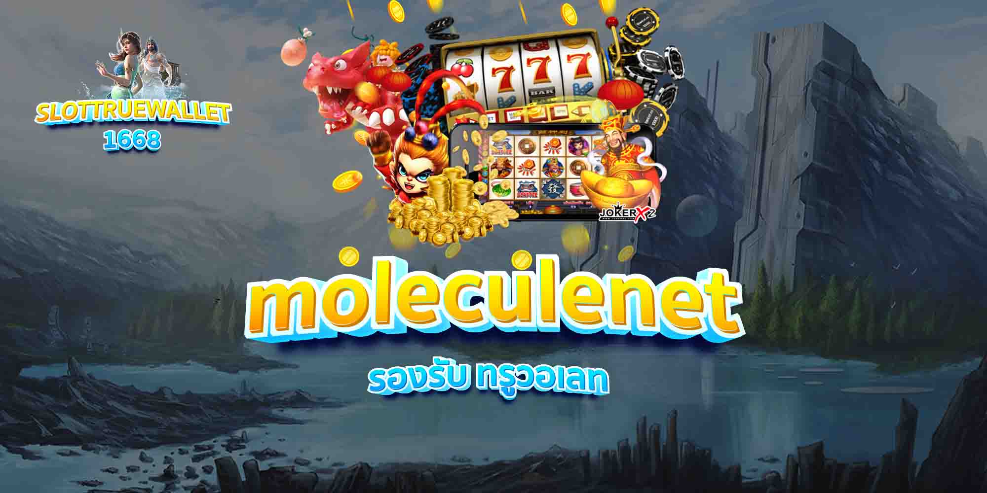 moleculenet-รองรับ-ทรูวอเลท